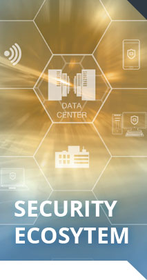 Protect Your Network From the Inside-Out. Successfully implement Internal Segmentation Firewalling with Infosec Partners.